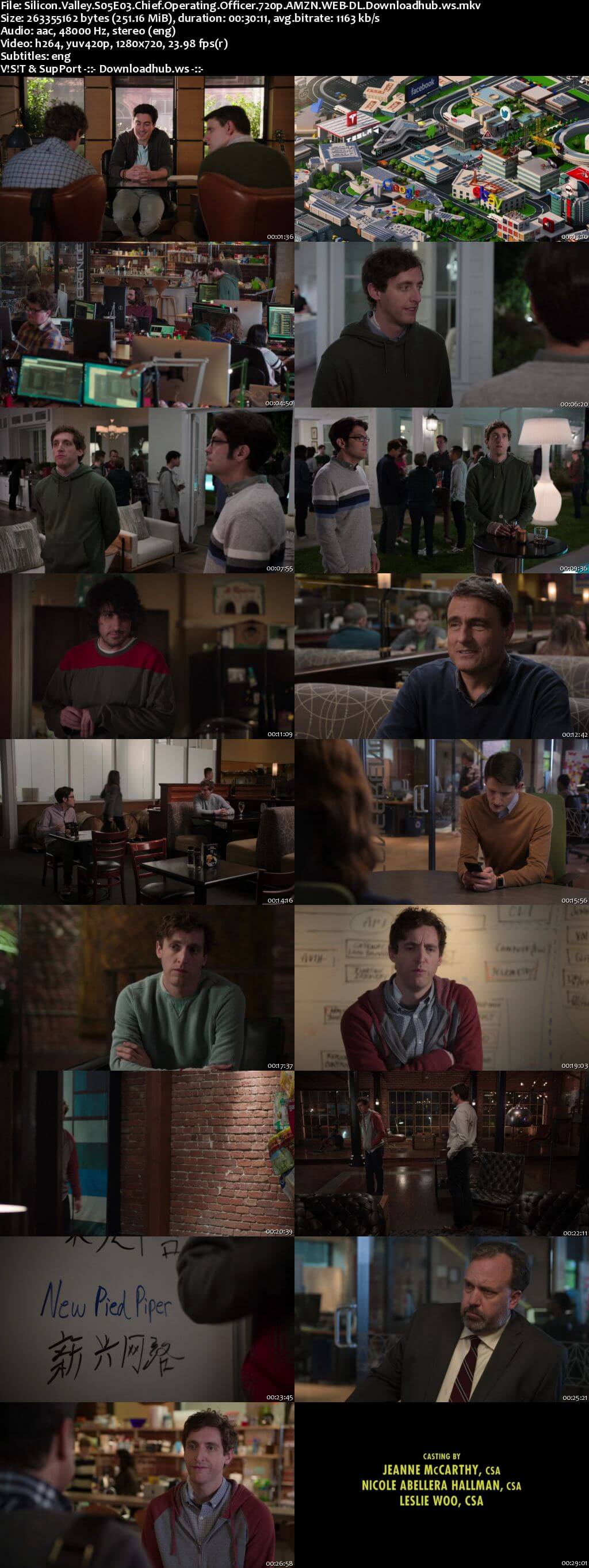 Silicon Valley S05E03 250MB WEBRip 720p x264