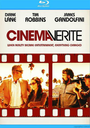 Cinema Verite 2011 BRRip 600MB Hindi Dual Audio 720p