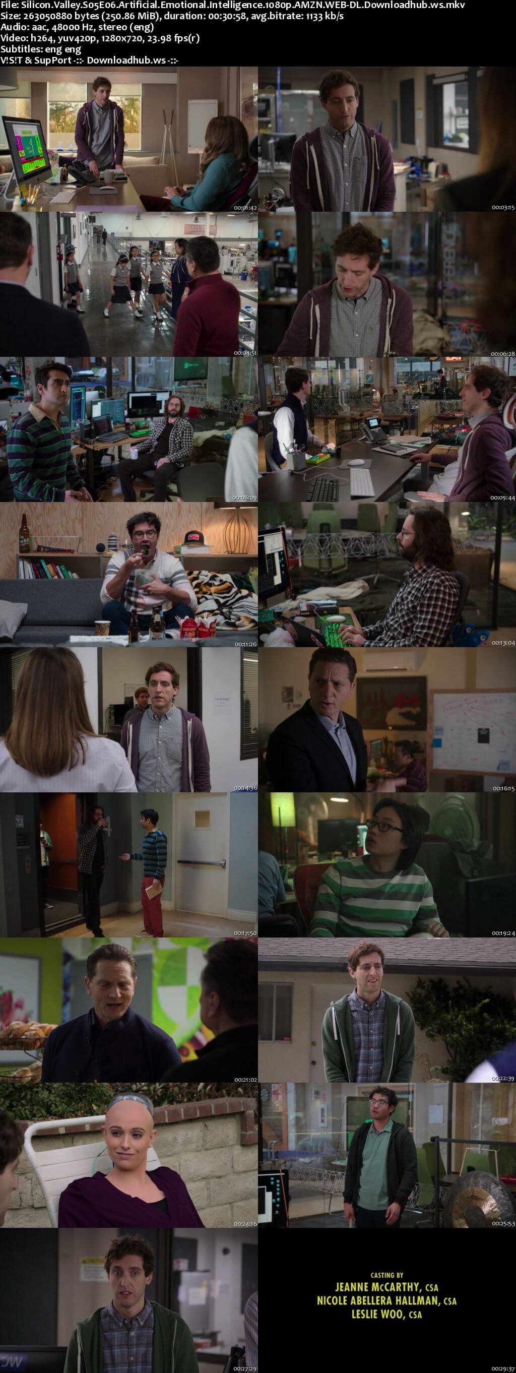 Silicon Valley S05E06 250MB WEBRip 720p x264