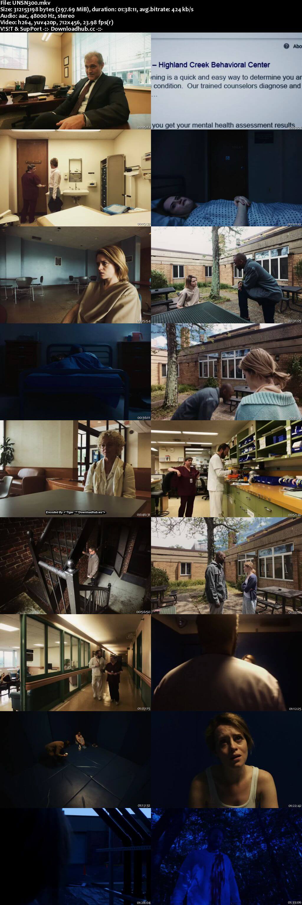 Unsane 2018 English 480p Web-DL ESubs