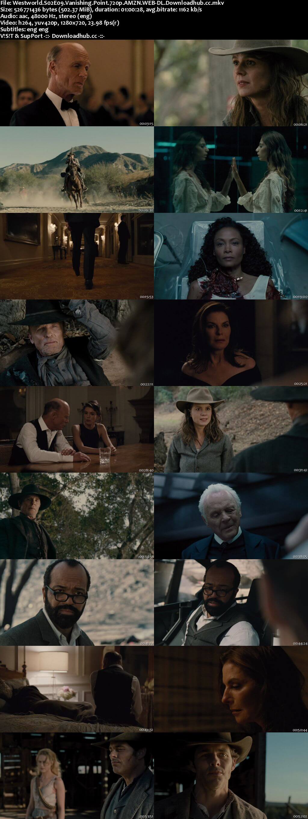 Westworld S02E09 500MB WEB-DL 720p x264 ESubs