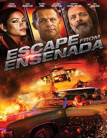 Escape from Ensenada 2017 Hindi Dual Audio BRRip Full Movie 300mb Download