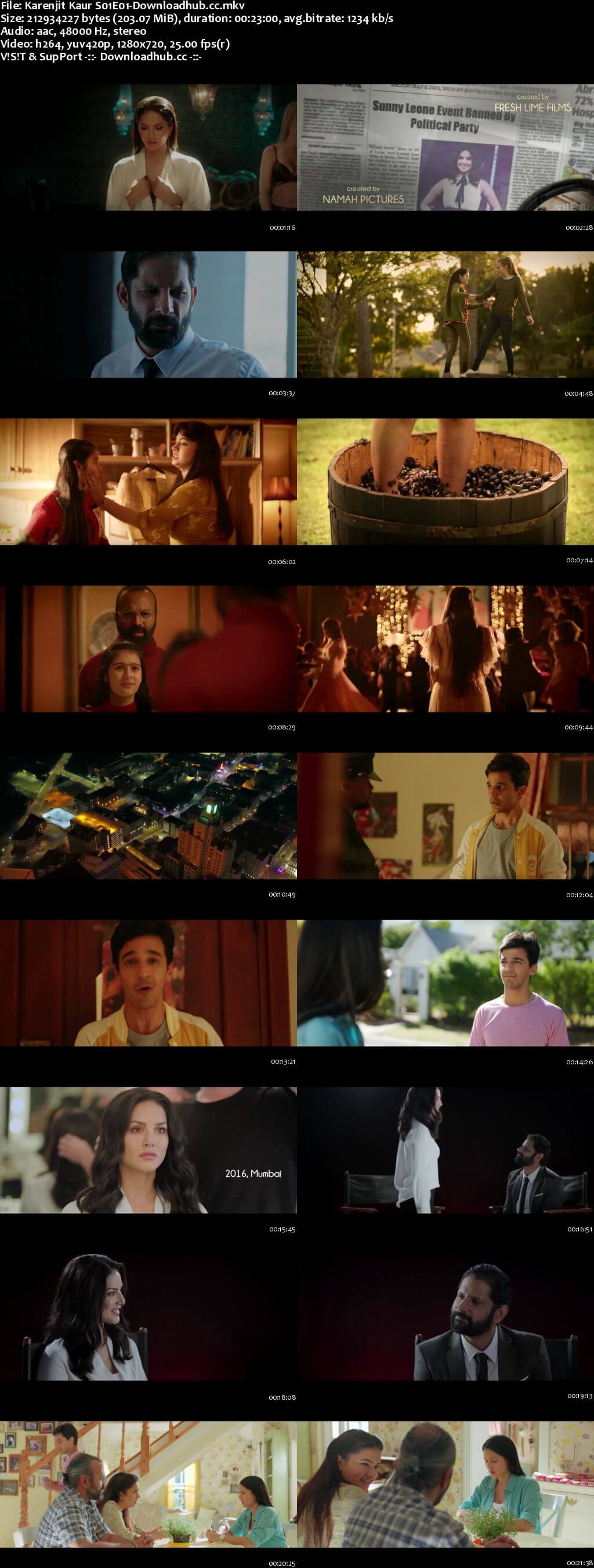 Karenjit Kaur - The Untold Story of Sunny Leone Hindi Season 01 Complete 720p HDRip x264