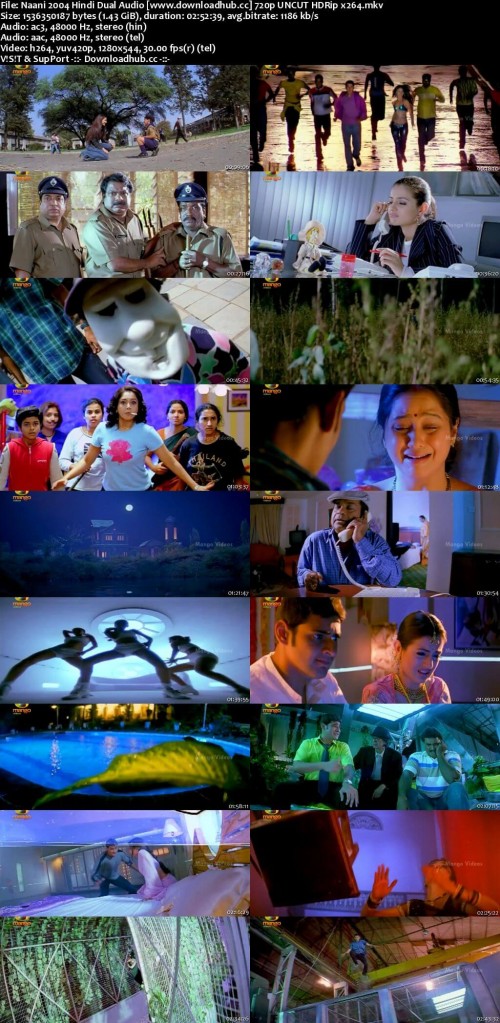 Naani-2004-Hindi-Dual-Audio-www.downloadhub.cc-720p-UNCUT-HDRip-x264_s.jpg