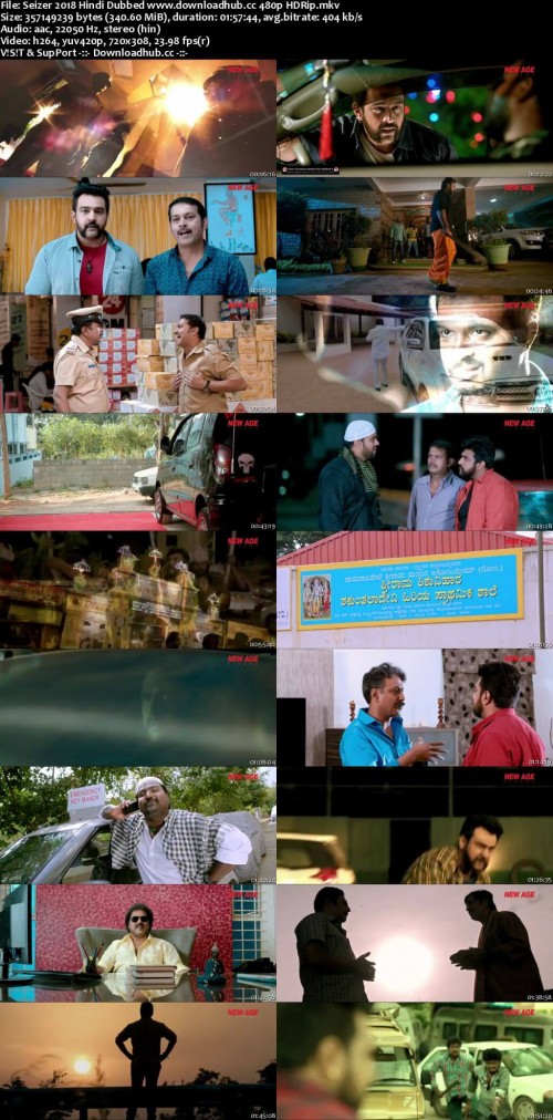 Seizer-2018-Hindi-Dubbed-www.downloadhub.cc-480p-HDRip_s.jpg