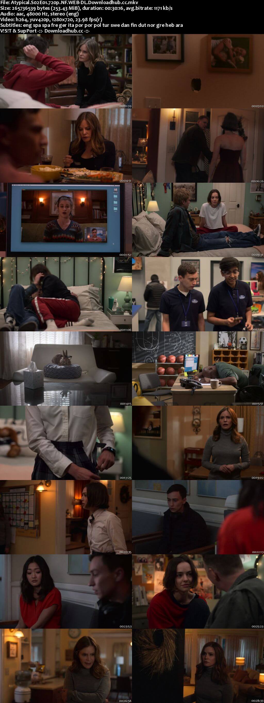 Atypical S02 Complete 720p NF Web-DL MSubs