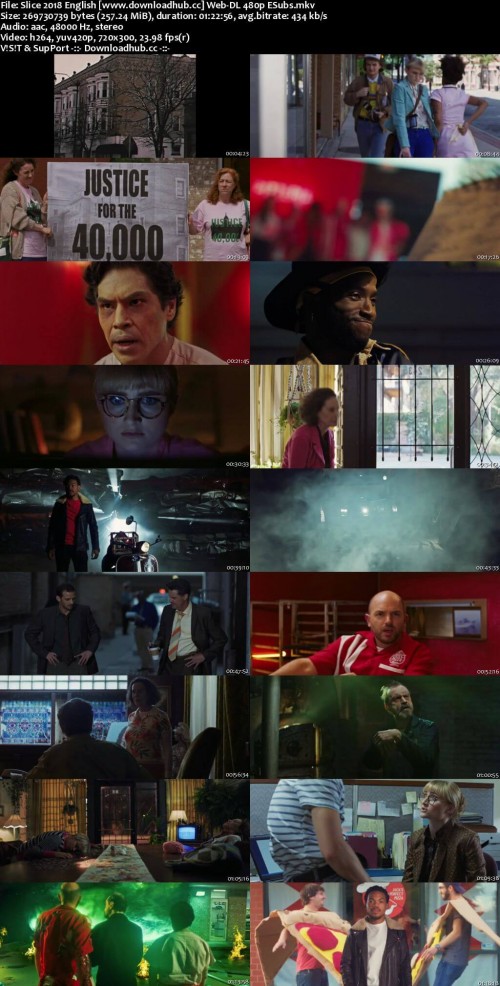 Slice-2018-English-www.downloadhub.cc-Web-DL-480p-ESubs_s.jpg