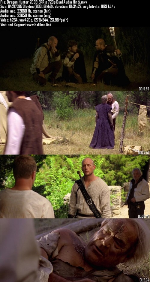 Dragon-Hunter-2009-BRRip-720p-Dual-Audio-Hindi_s.jpg