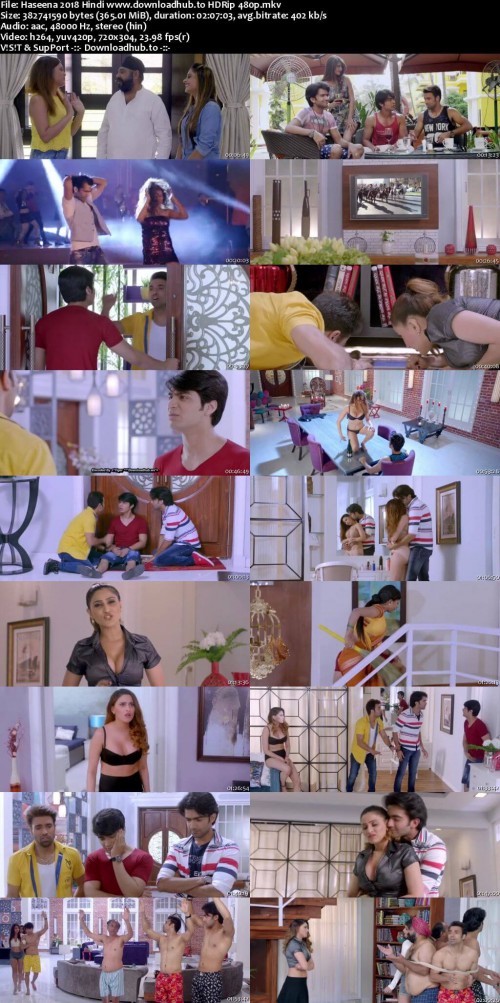 Haseena-2018-Hindi-www.downloadhub.to-HDRip-480p_s.jpg