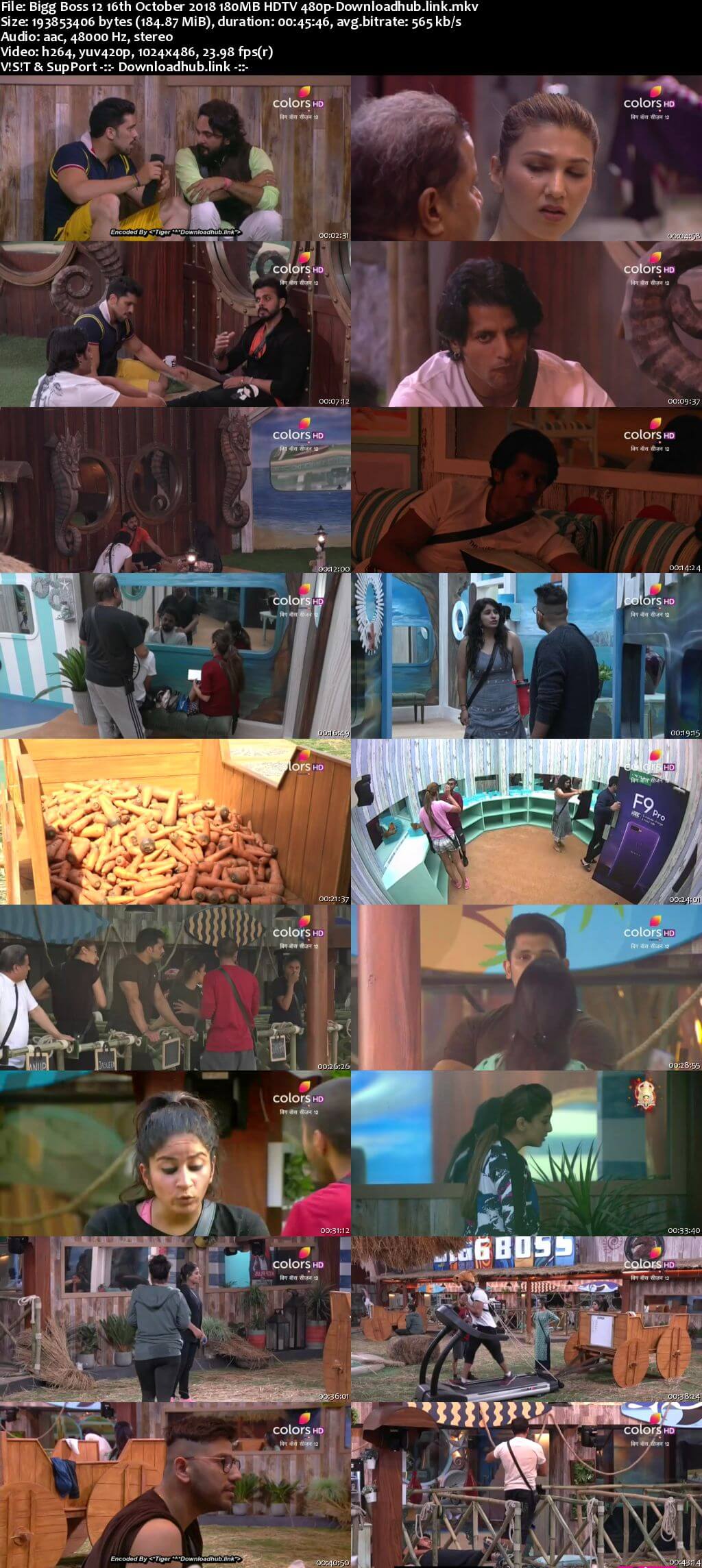 Bigg Boss 12 16 October 2018 Episode 30 HDTV 480p