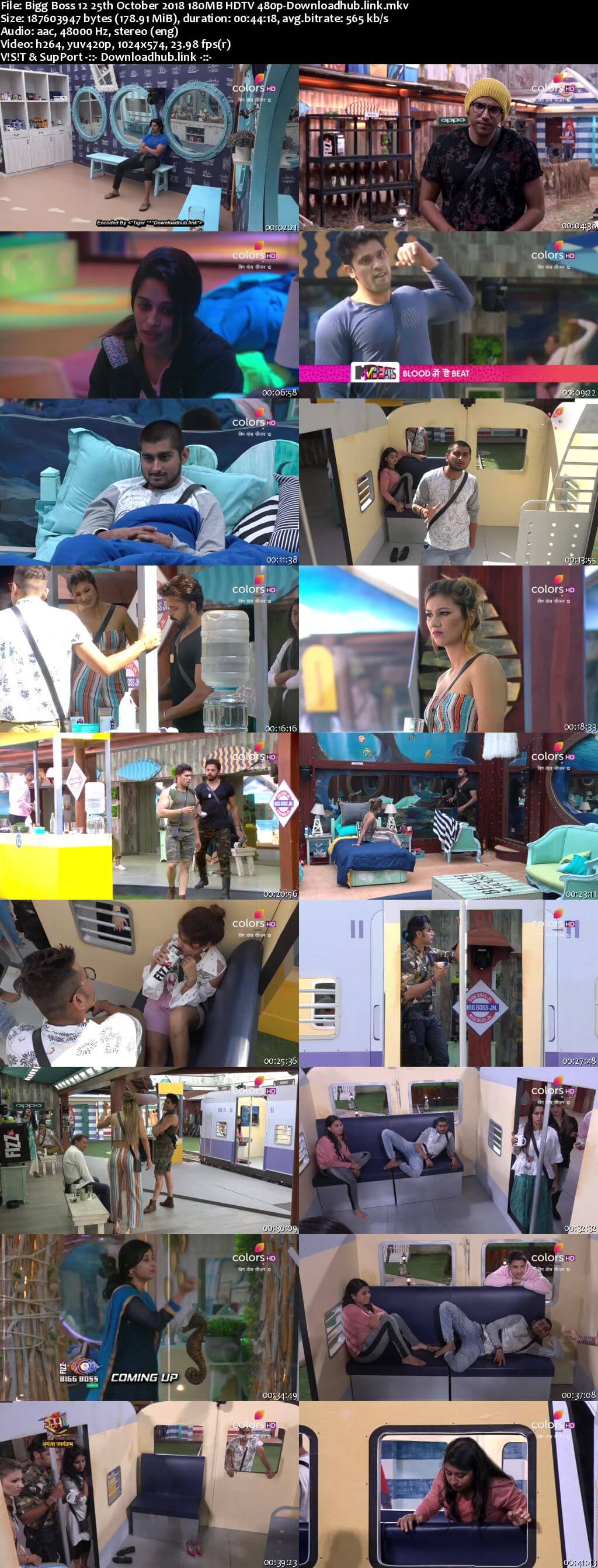 Bigg Boss 12 25 October 2018 Episode 39 HDTV 480p