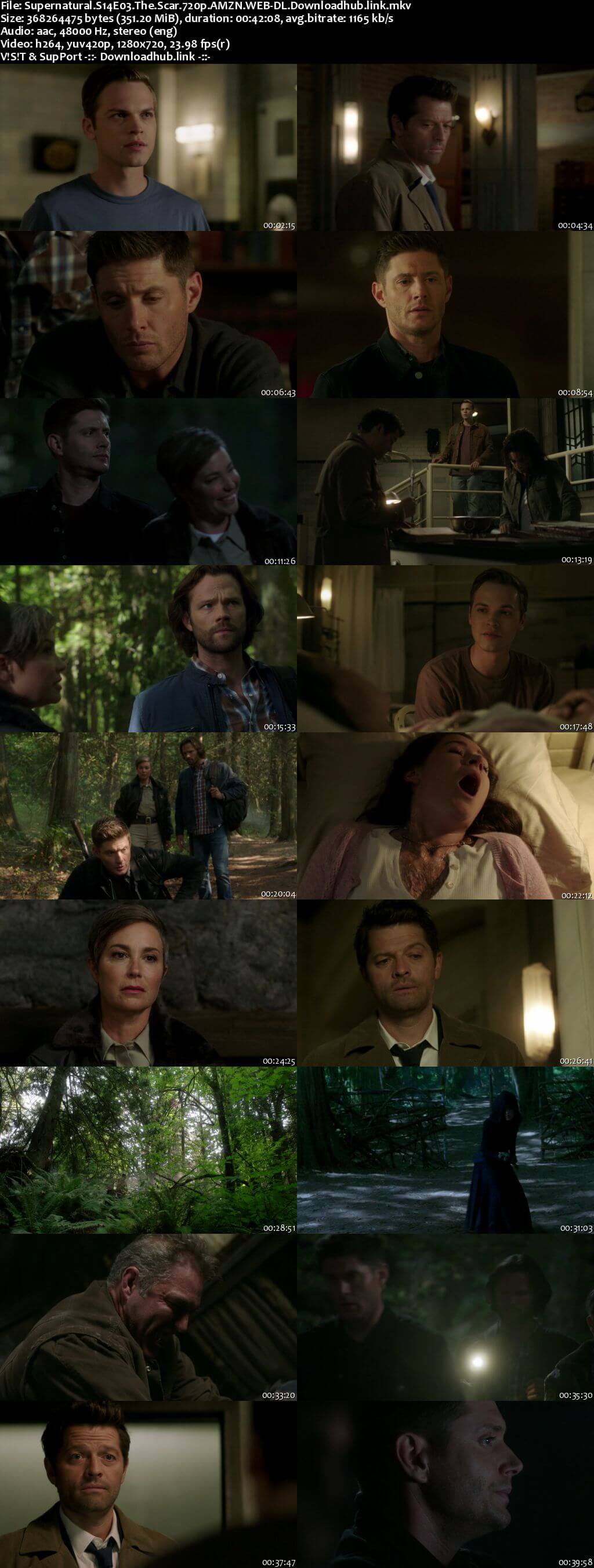 Supernatural S14E03 350MB AMZN Web-DL 720p x264