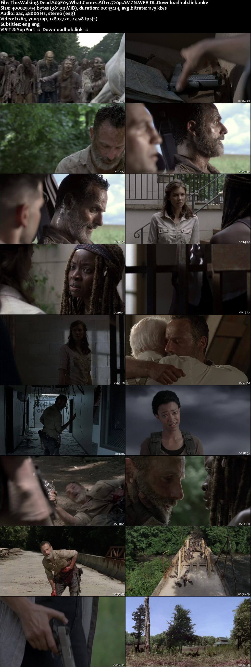 The Walking Dead S09E05 350MB AMZN WEB-DL 720p ESubs