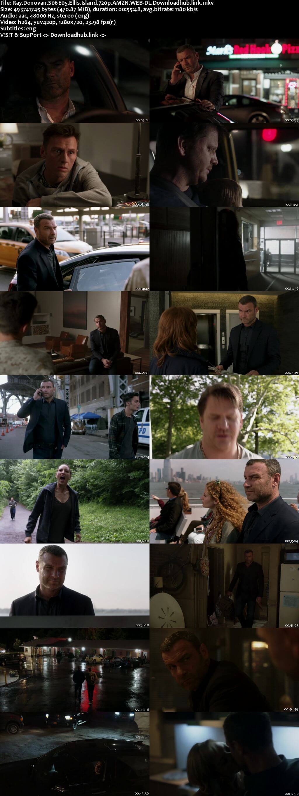 Ray Donovan S06E05 450MB AMZN WEB-DL 720p ESubs