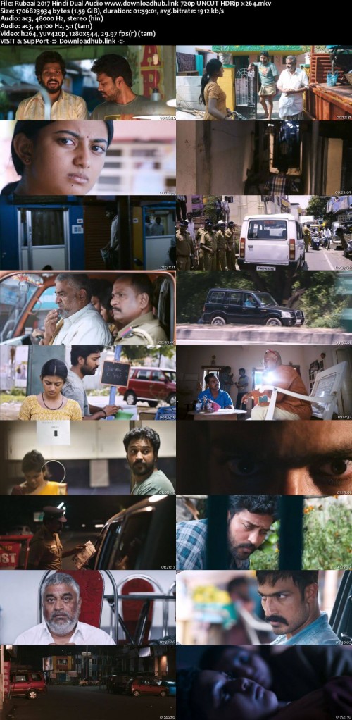 Rubaai-2017-Hindi-Dual-Audio-www.downloadhub.link-720p-UNCUT-HDRip-x264_s.jpg