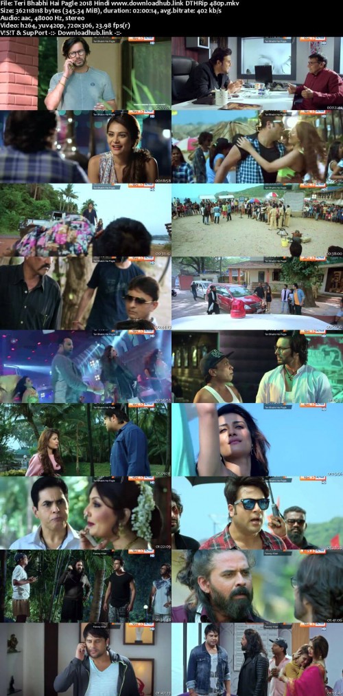Teri-Bhabhi-Hai-Pagle-2018-Hindi-www.downloadhub.link-DTHRip-480p_s.jpg