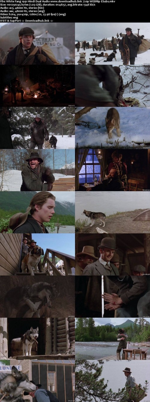 White-Fang-1991-Hindi-Dual-Audio-www.downloadhub.link-720p-WEBRip-ESubs_s.jpg
