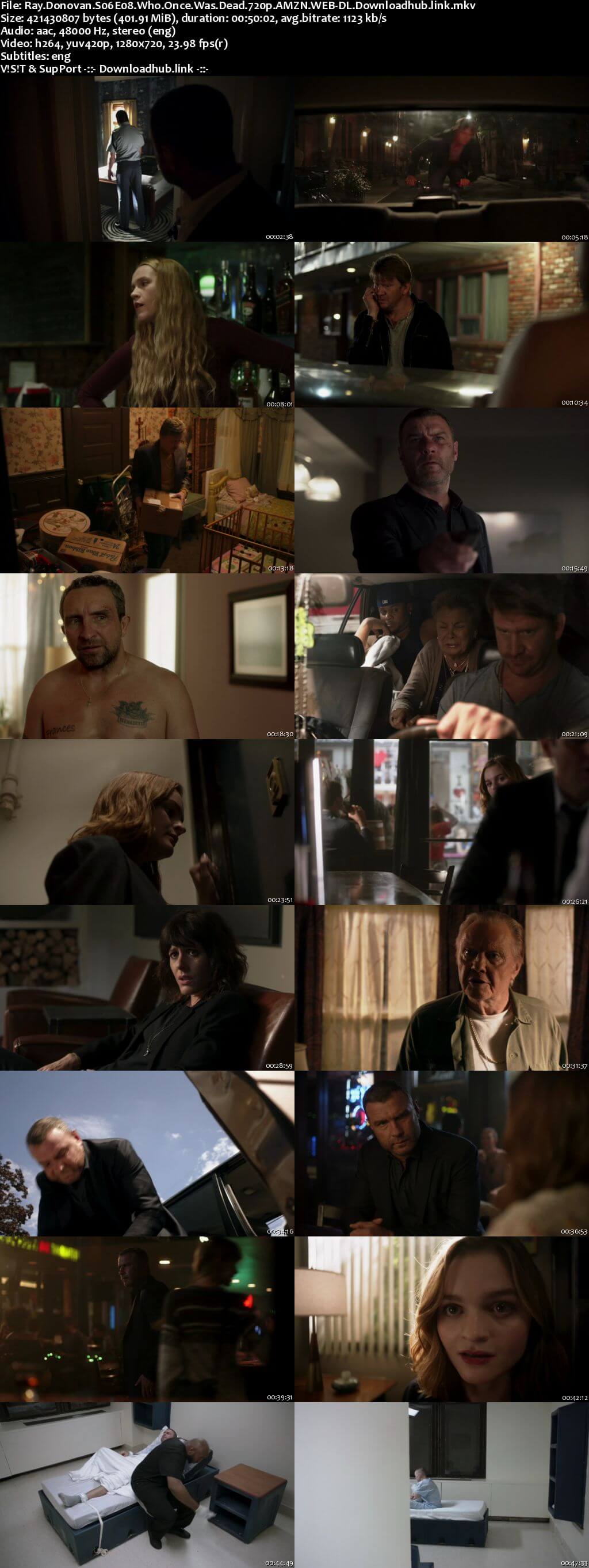 Ray Donovan S06E08 400MB AMZN WEB-DL 720p ESubs