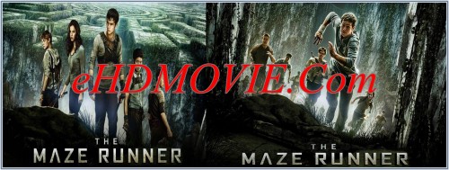 The-Maze-Runner-2014.jpg