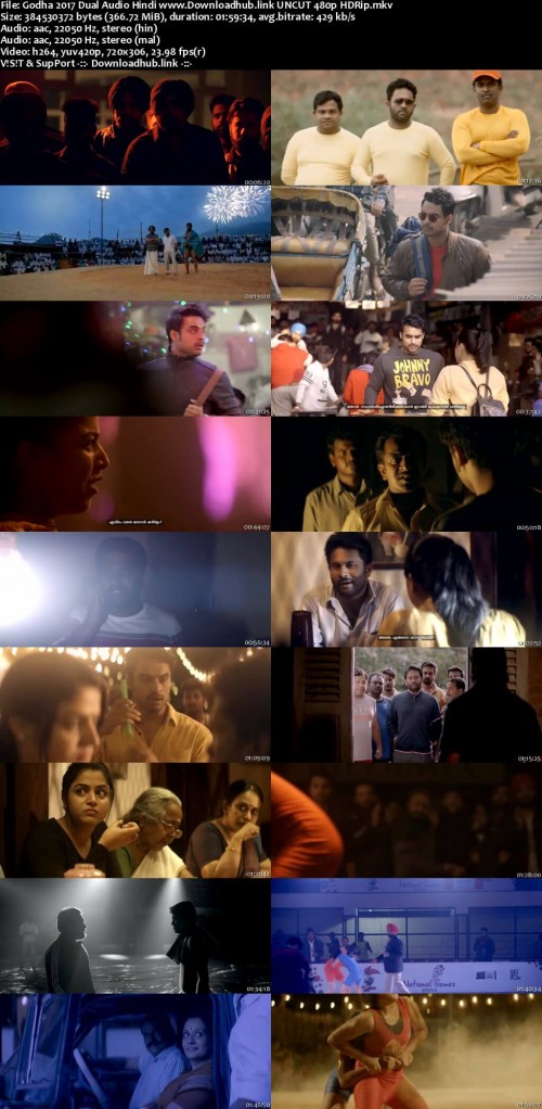 Godha-2017-Dual-Audio-Hindi-www.Downloadhub.link-UNCUT-480p-HDRip_s.jpg
