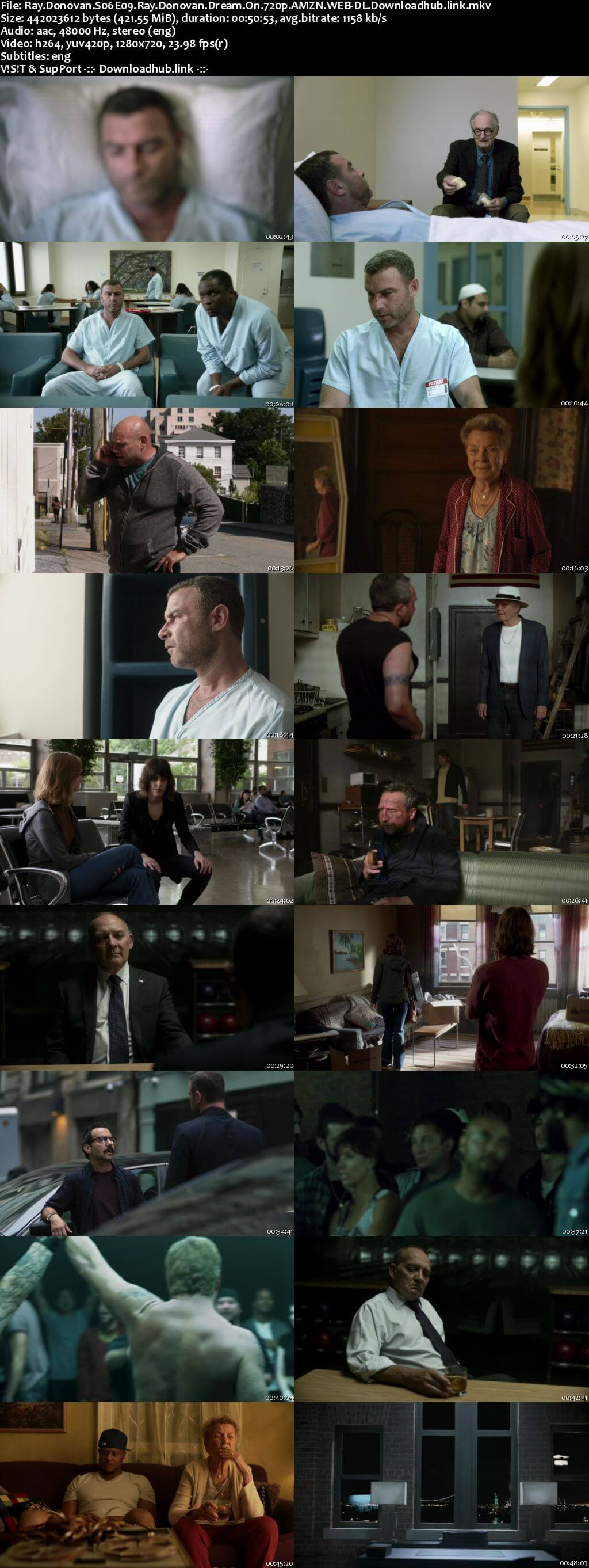 Ray Donovan S06E09 400MB AMZN WEB-DL 720p ESubs