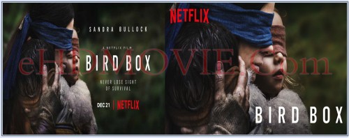 Bird-Box-2018.jpg