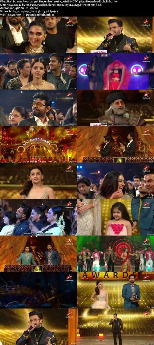 Star-Screen-Awards-31st-December-2018-500MB-HDTV-480p-Downloadhub.link_s.jpg