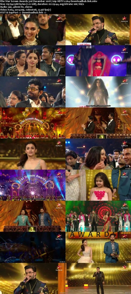 Star-Screen-Awards-31st-December-2018-720p-HDTV-x264-Downloadhub.link_s.jpg