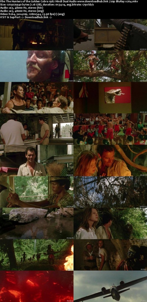 The-Hunters-of-the-Golden-Cobra-1982-Hindi-Dual-Audio-www.downloadhub.link-720p-BluRay-x264_s.jpg