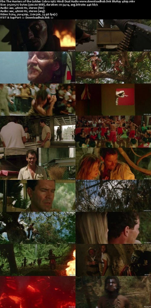 The-Hunters-of-the-Golden-Cobra-1982-Hindi-Dual-Audio-www.downloadhub.link-BluRay-480p_s.jpg
