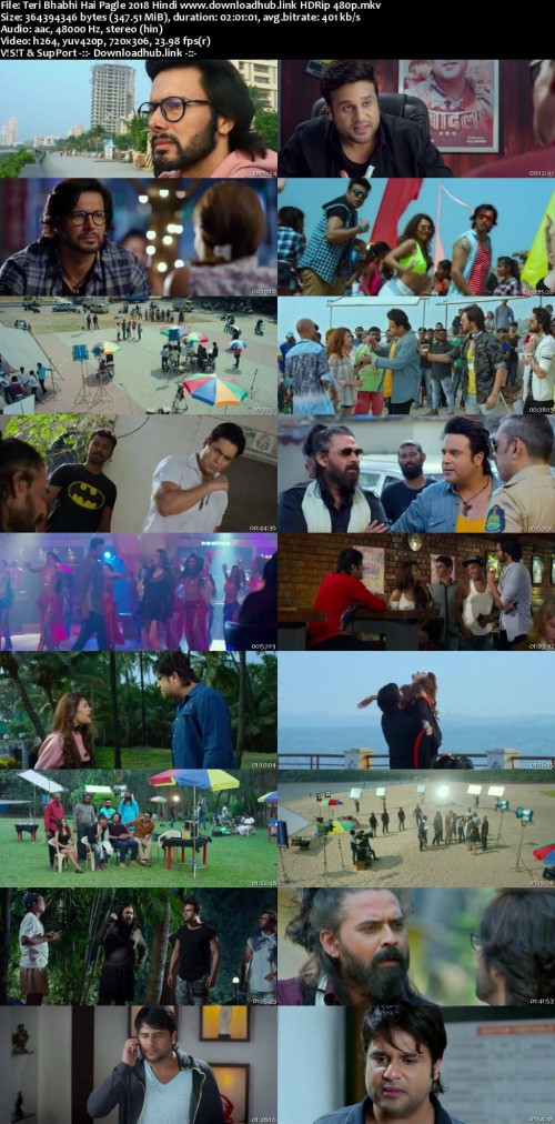 Teri-Bhabhi-Hai-Pagle-2018-Hindi-www.downloadhub.link-HDRip-480p_s.jpg