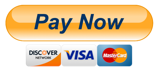 PAYNOW. Кнопки pay Now. Логотип visa MASTERCARD. PAYPAL кнопка PNG.