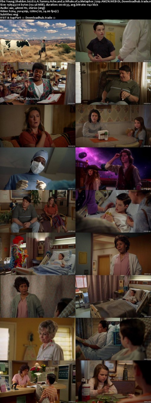 Young.Sheldon.S02E12.A.Tummy.Ache.and.a.Whale.of.a.Metaphor.720p.AMZN.WEB-DL.Downloadhub.trade_s.jpg