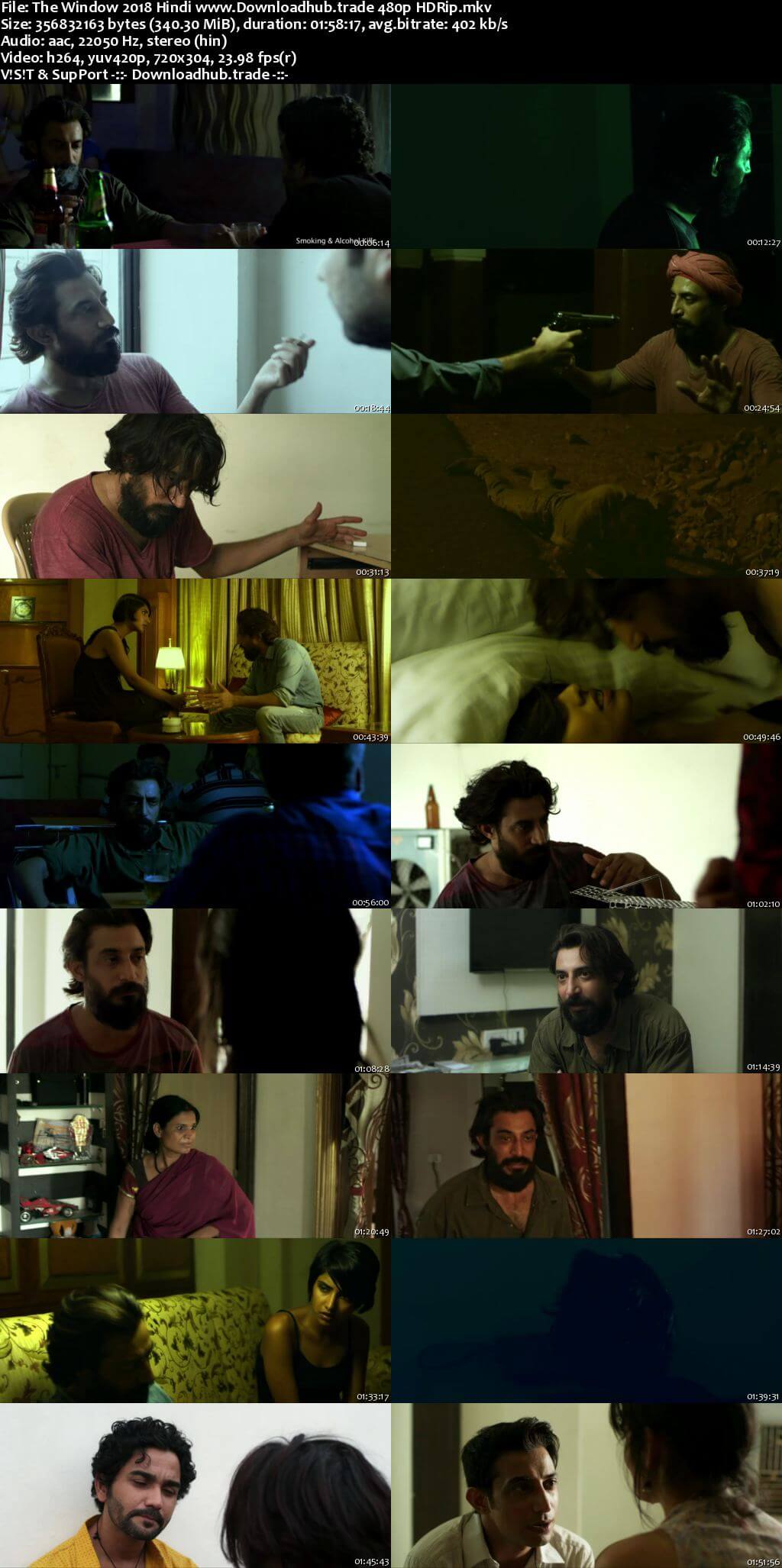 The Window 2018 Hindi 300MB HDRip 480p ESubs