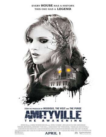 Amityville The Awakening 2017 Hindi Dual Audio BRRip Full Movie 300mb Free Download