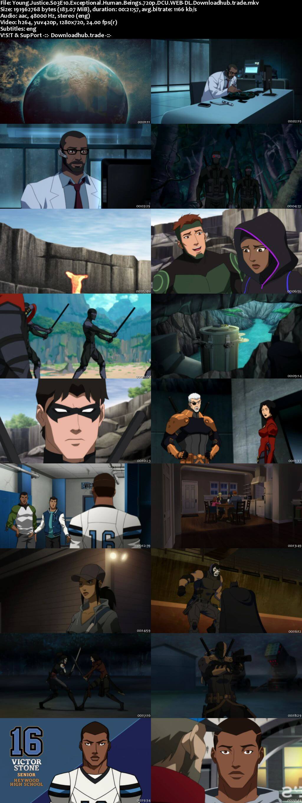 Young Justice S03E10 180MB DCU WEB-DL 720p ESubs