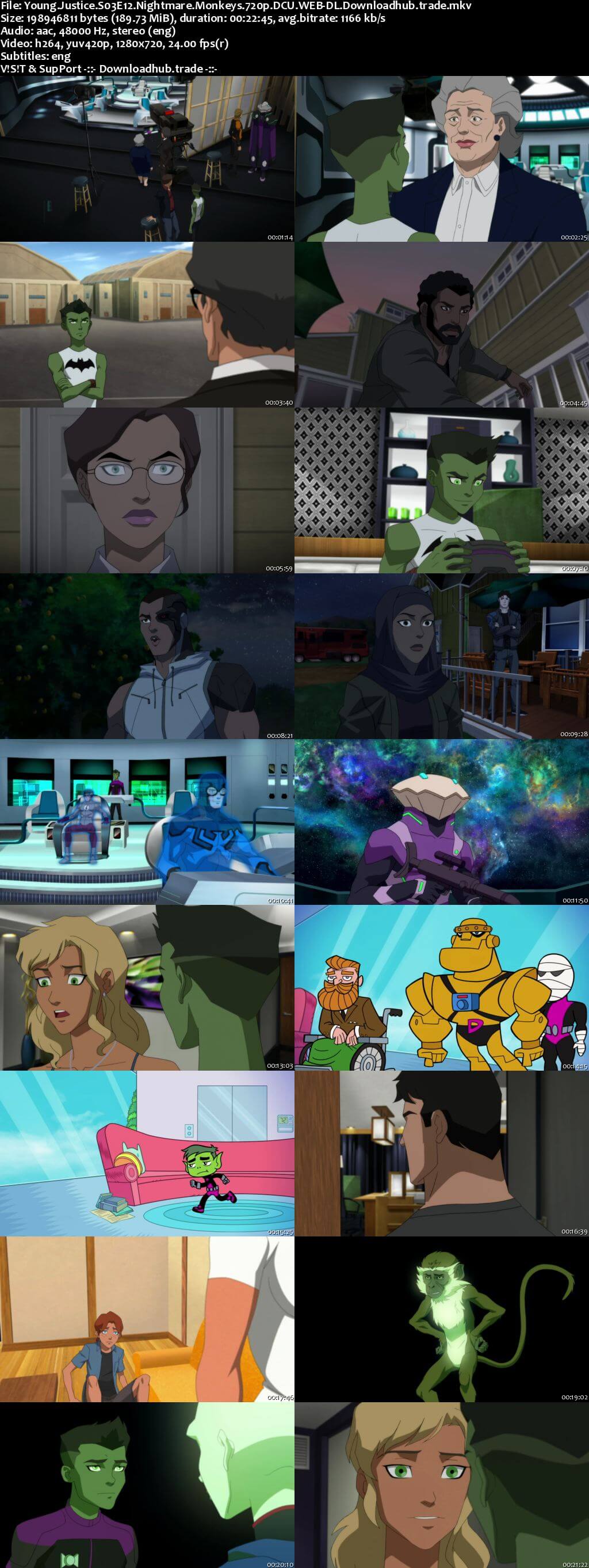 Young Justice S03E12 180MB DCU WEB-DL 720p ESubs