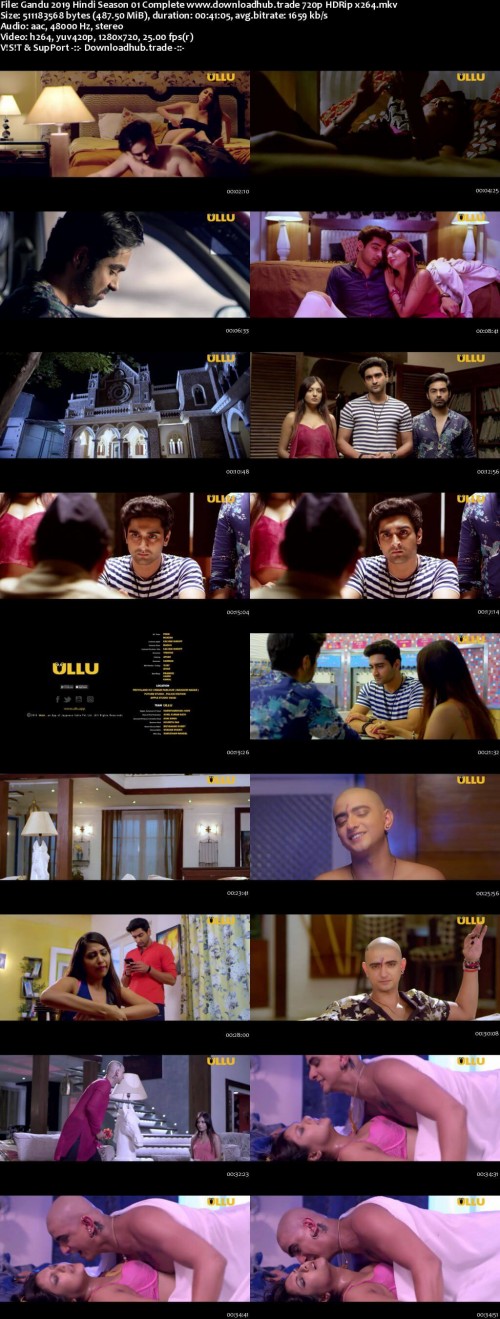 Gandu-2019-Hindi-Season-01-Complete-www.downloadhub.trade-720p-HDRip-x264_s.jpg