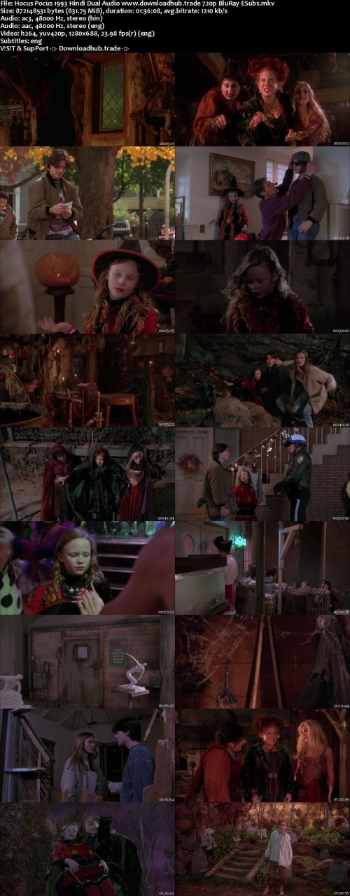 Hocus-Pocus-1993-Hindi-Dual-Audio-www.downloadhub.trade-720p-BluRay-ESubs_s.jpg