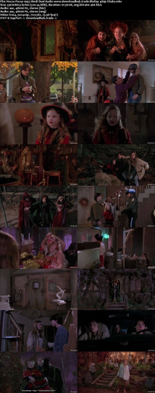 Hocus-Pocus-1993-Hindi-Dual-Audio-www.downloadhub.trade-BluRay-480p-ESubs_s.jpg