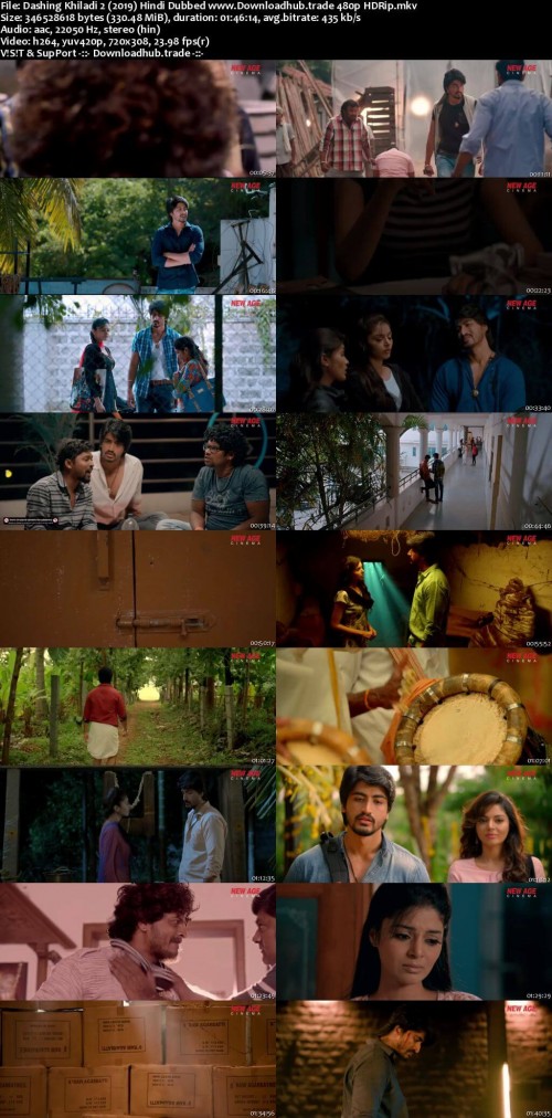 Dashing-Khiladi-2-2019-Hindi-Dubbed-www.Downloadhub.trade-480p-HDRip_s.jpg