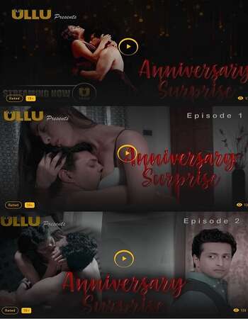 The Anniversary Surprise 2019 Full Season 01 Download Hindi In HD