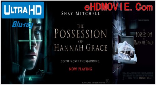 The-Possession-of-Hannah-Grace-2018.jpg