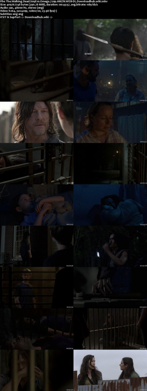 The.Walking.Dead.S09E10.Omega.720p.AMZN.WEB-DL.Downloadhub.wiki_s.jpg