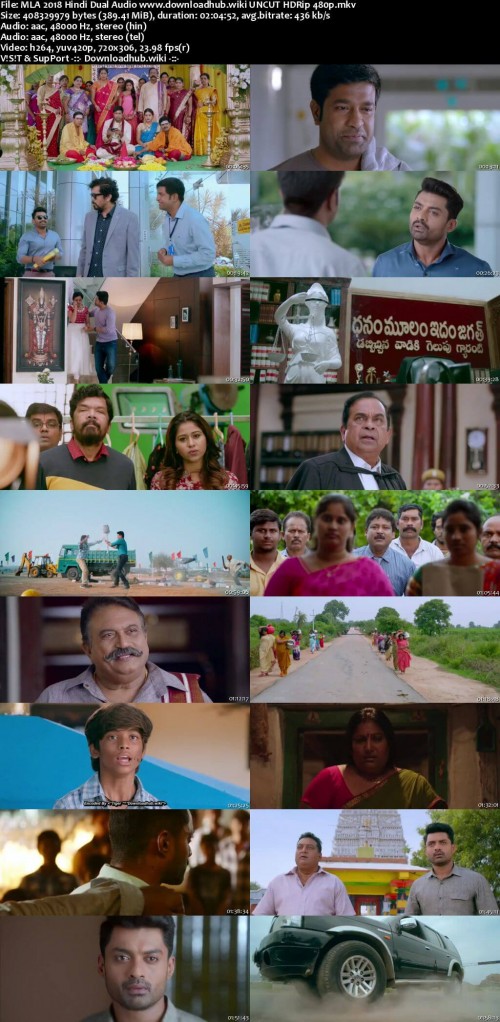MLA-2018-Hindi-Dual-Audio-www.downloadhub.wiki-UNCUT-HDRip-480p_s.jpg