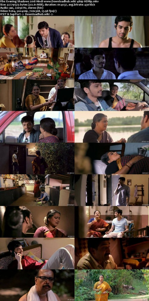 Evening-Shadows-2018-Hindi-www.Downloadhub.wiki-480p-HDRip_s.jpg