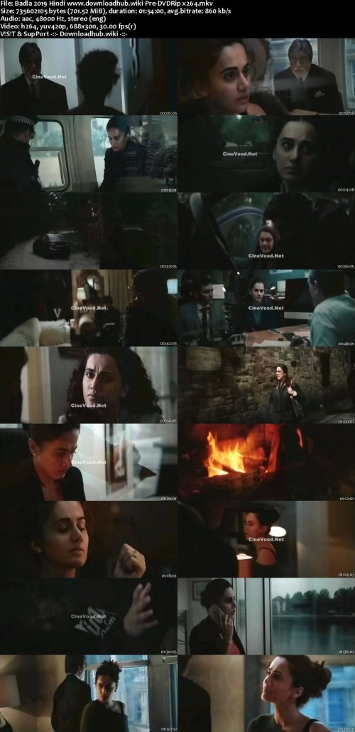 Badla-2019-Hindi-www.downloadhub.wiki-Pre-DVDRip-x264_s.jpg