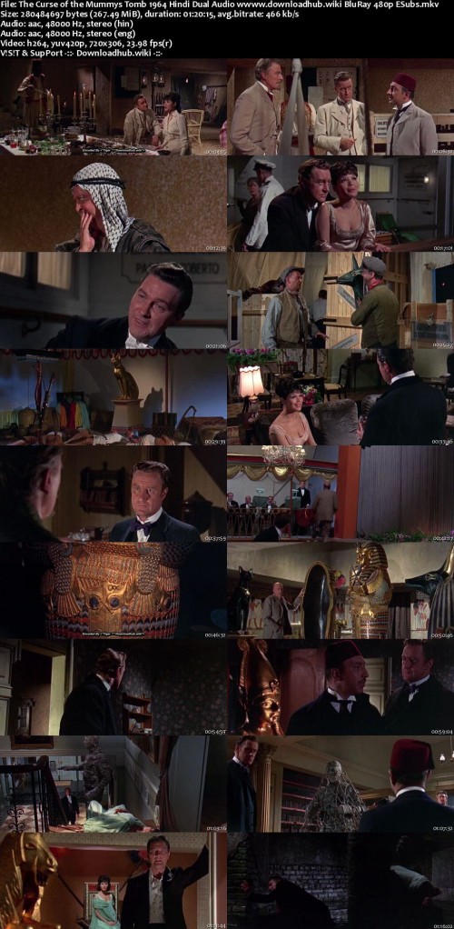 The-Curse-of-the-Mummys-Tomb-1964-Hindi-Dual-Audio-wwww.downloadhub.wiki-BluRay-480p-ESubs_s.jpg