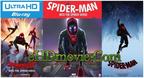 Spider-Man-Into-the-Spider-Verse-2018.jpg