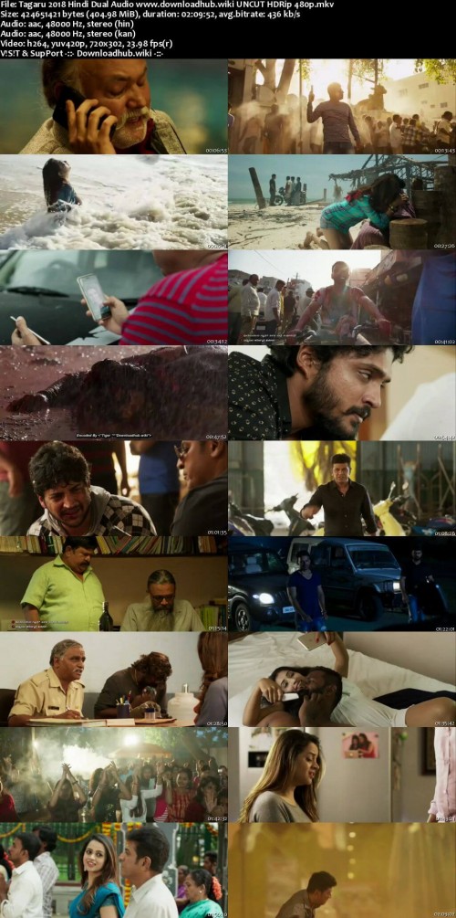 Tagaru-2018-Hindi-Dual-Audio-www.downloadhub.wiki-UNCUT-HDRip-480p_s.jpg